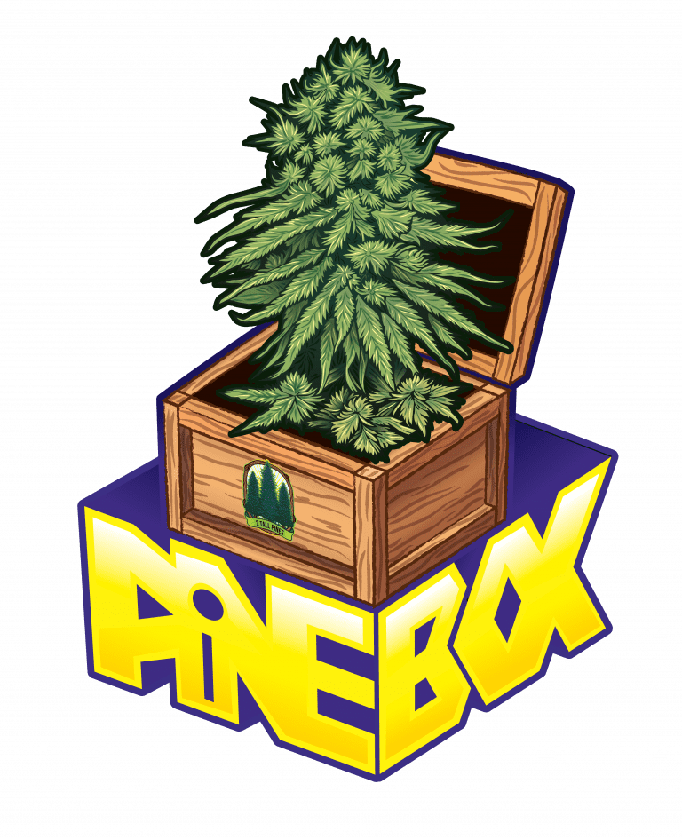 pinebox logo concept 2 01 768x945
