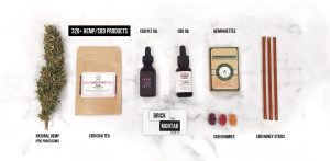 brick and mortar hemp co 300x147