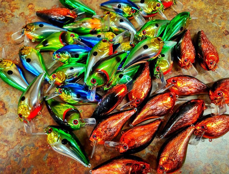 rippn lips tackle company 768x585