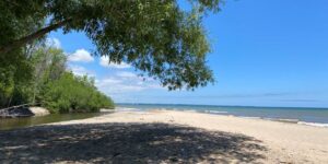 1869938a 70f4 4ba1 b480 5d9037986a15 silver creek beach with tree shade left 2 300x150