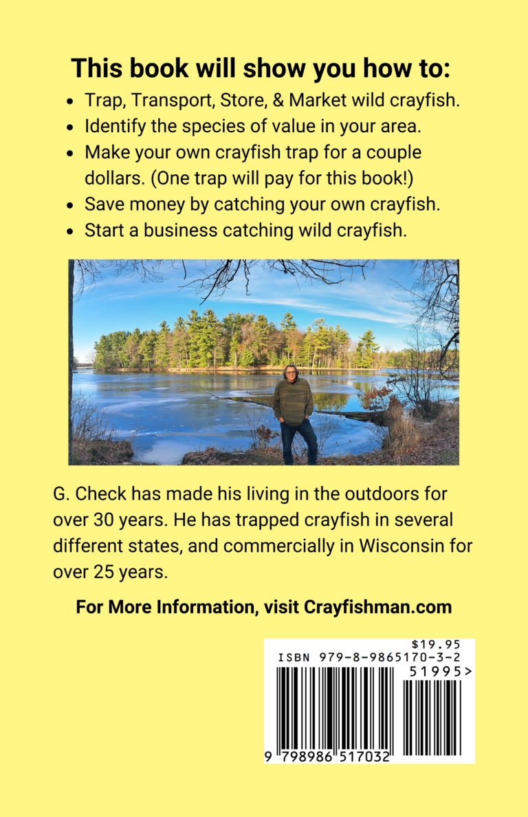back cover 768x1187