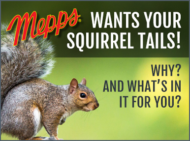 mepps wants your squirrel tails2