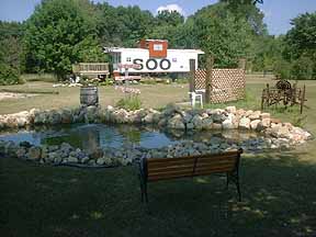pond