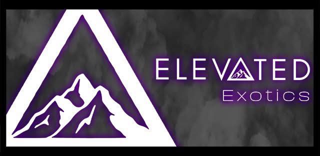 elevated 420 mi
