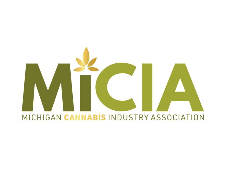micia 2 768x593