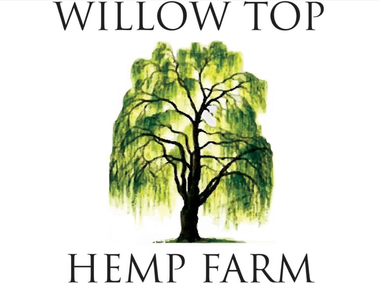 willow top hemp farm 768x576