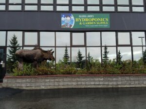 alaska jacks store 300x225