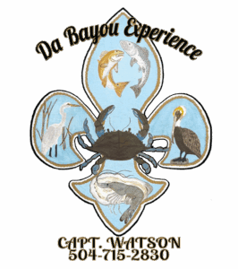 da bayou first section 1 266x300