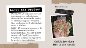 state mushroom project 2 300x169