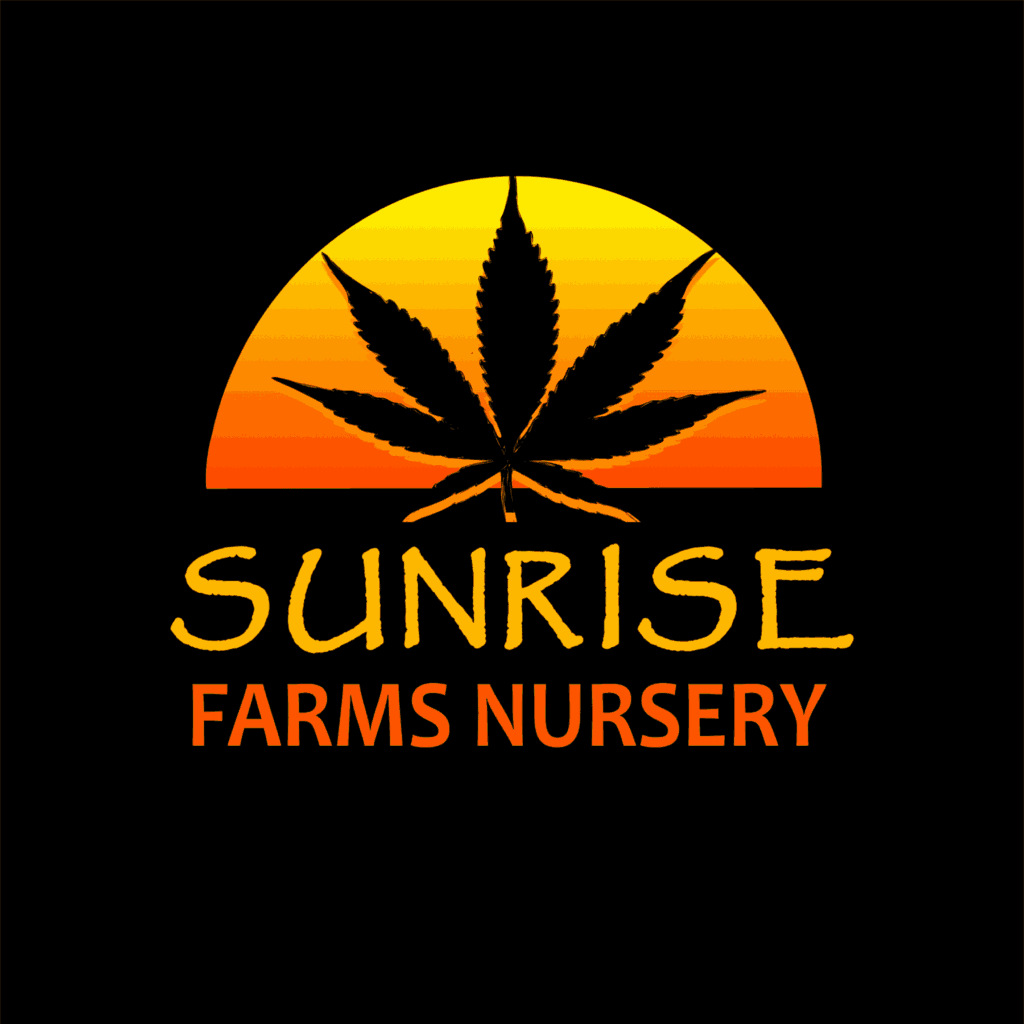 sunrise farms nursery 1