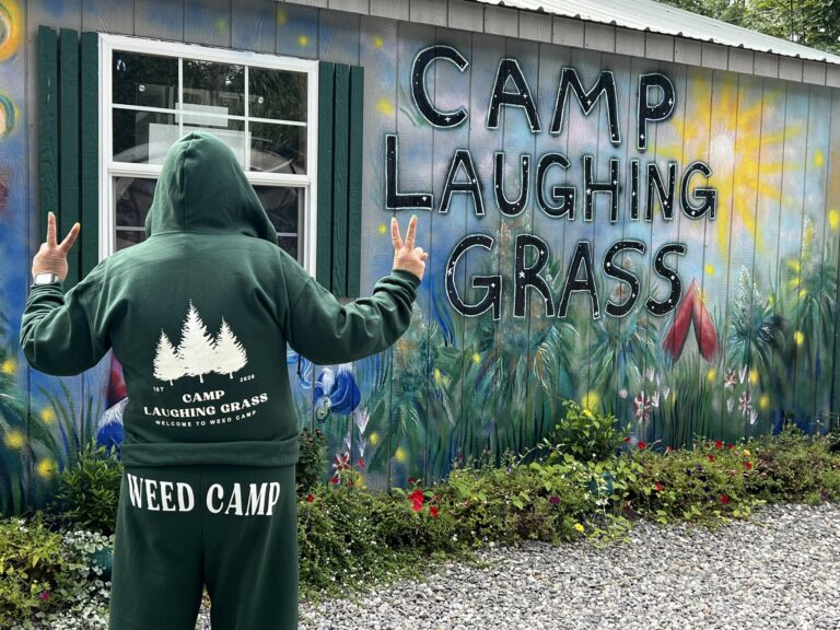 camp laughing grass 1 768x576
