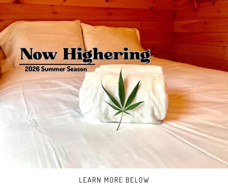 camp laughing grass job 768x644