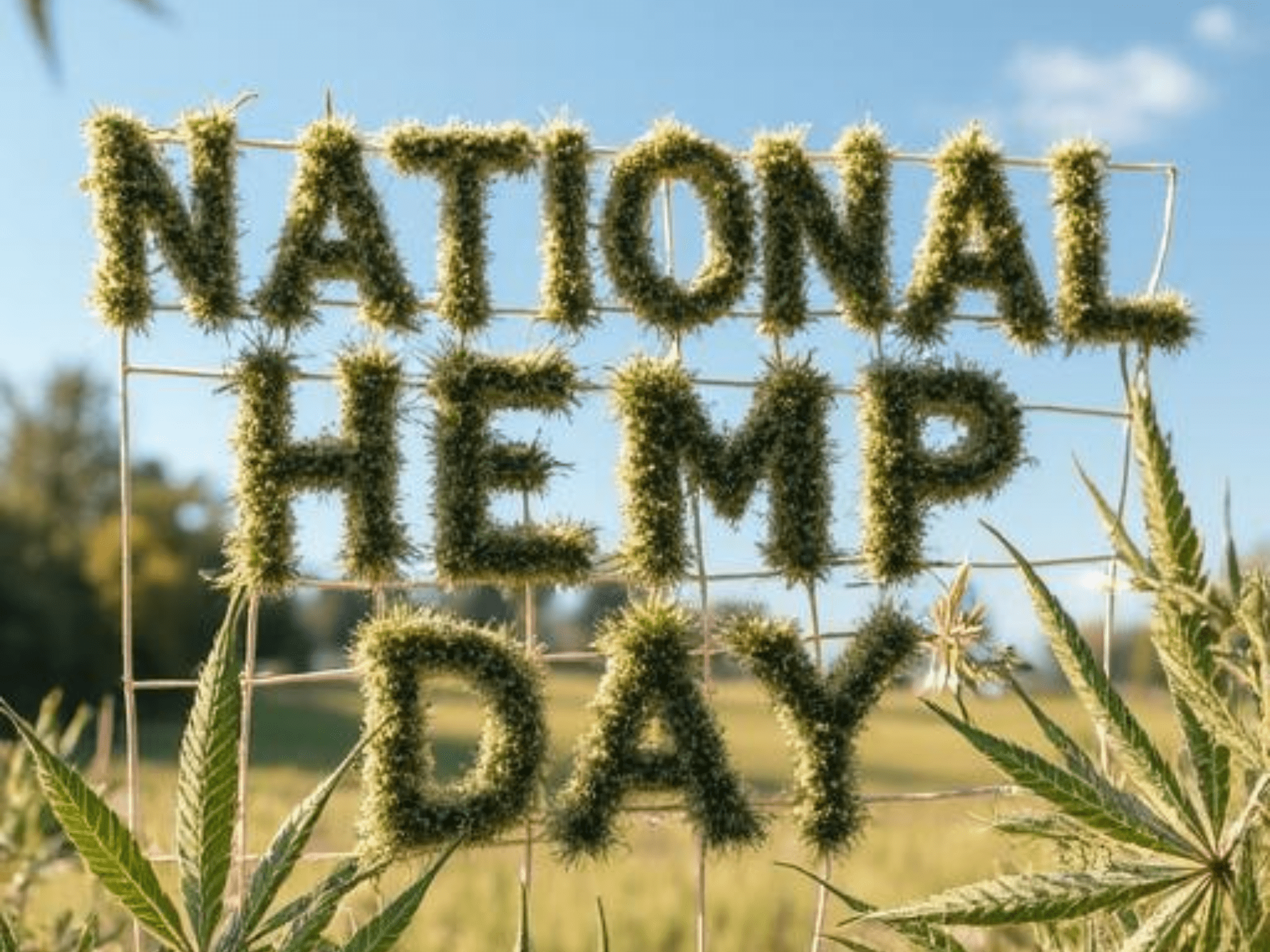 national hemp day